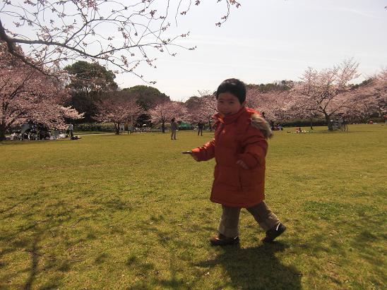 100330・大泉緑地公園など 008