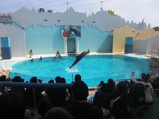 100404・須磨水族館のユウシン 002