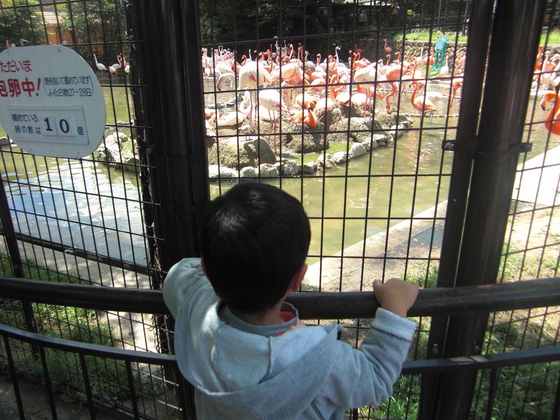 100513・王子動物園 001