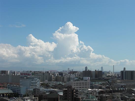 100805・雲ふうせんかずら 007