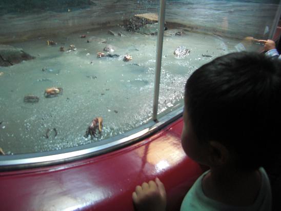 101003・水族館とプラレール 005