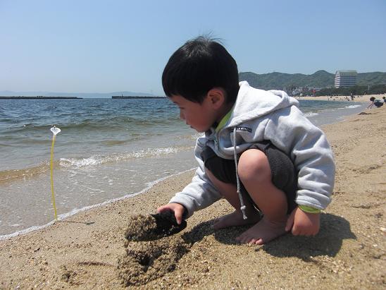 100502・須磨の海ワルモノも 005