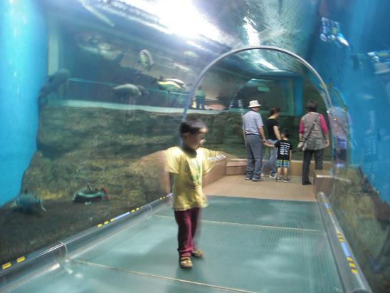 100711・須磨水族館とプラレール 004