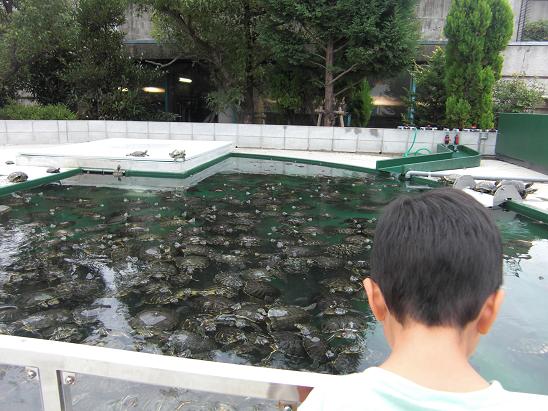 101003・水族館とプラレール 008