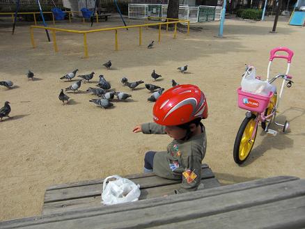 101017・自転車えさやりとブランコ 004