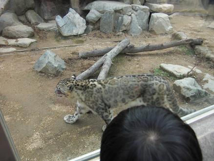 110103・王子動物園 003