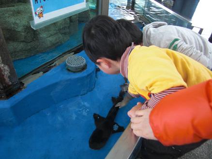 110105・須磨水族館・赤穂温泉 004