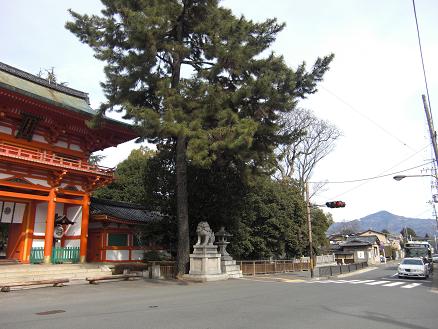 110219・今宮神社 002