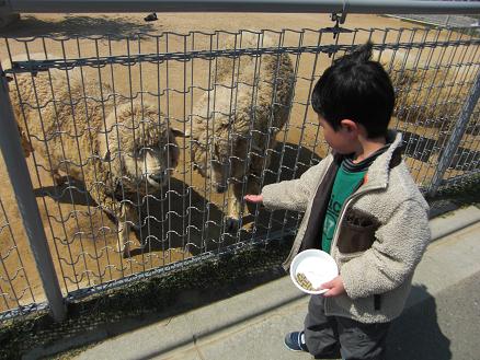 110328・天王寺動物園 002