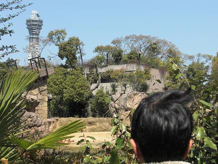 110328・天王寺動物園 001