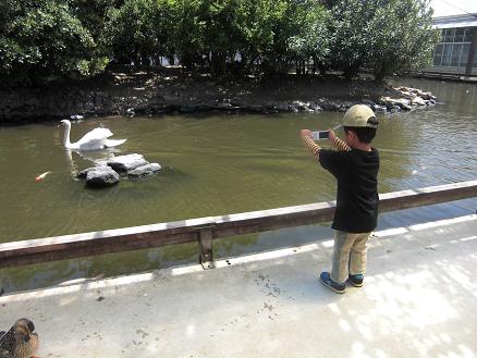 110507・花鳥園オオハシと和解 006