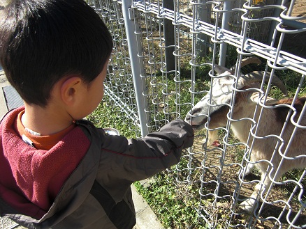 111126・天王寺動物園 (11)