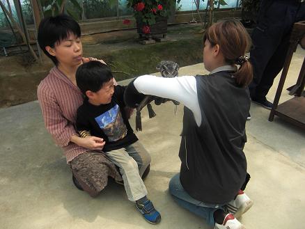 110507・花鳥園オオハシと和解 009