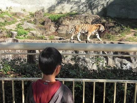 111126・天王寺動物園 (7)