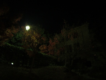 111205・夜の大学 (4)