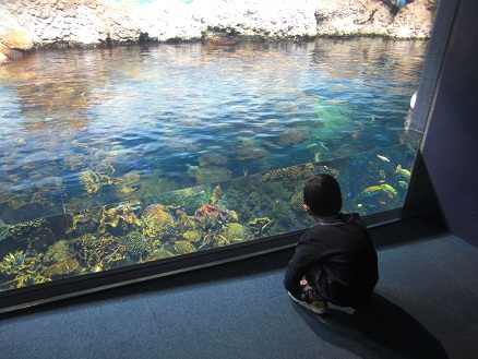 111207・海遊館・交通科学博物館 (20)