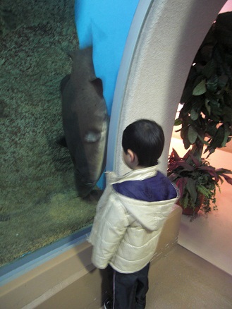 120105・須磨水族園 (8)