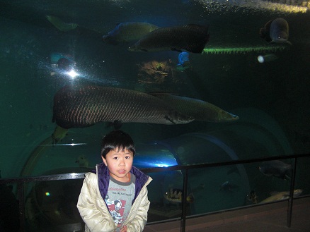 120105・須磨水族園 (5)