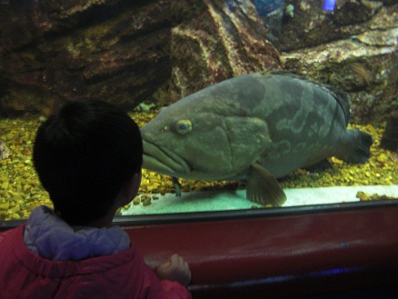 120301・須磨水族園・ユウシン (5)