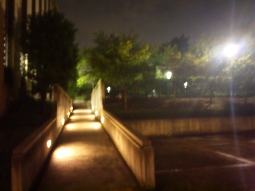 120914　夜の大学