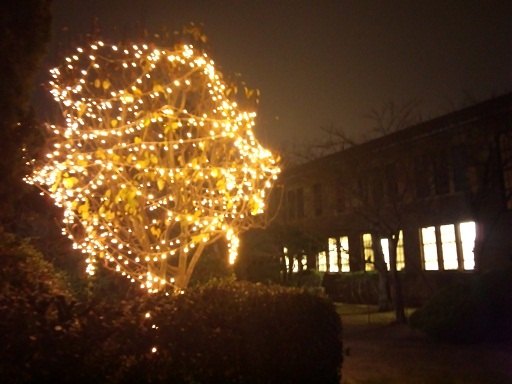 121207　大学の夜