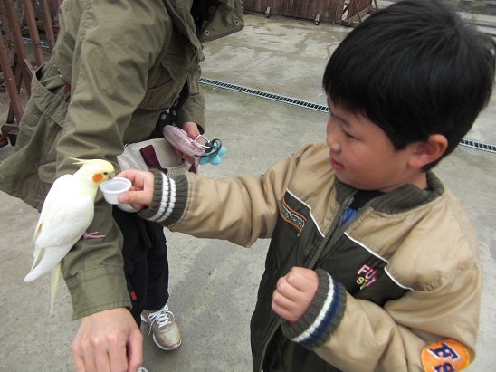 130402　花鳥園 (6)