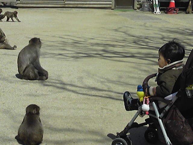 130304　新参ズ九州旅行2