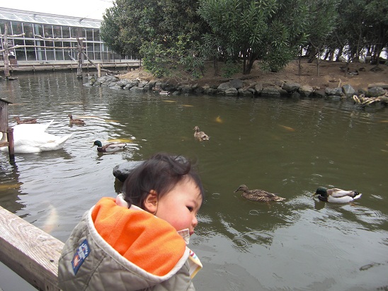 130402　花鳥園 (8)