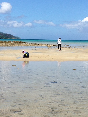 130822　奄美大島4日目 (45)