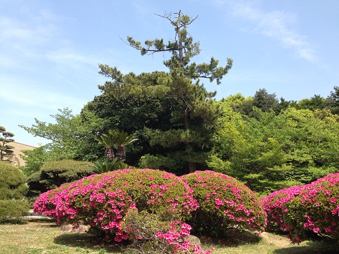 130509　大学 (1)