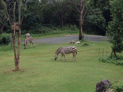 130908　春史ユウシン (8)