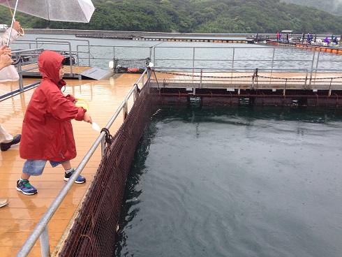 140622　新参ズ徳島 (25)