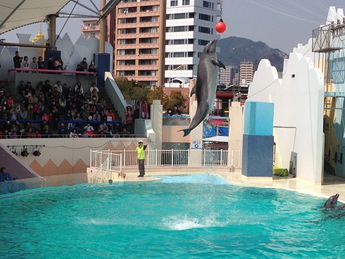 140323　須磨海浜水族園 (27)