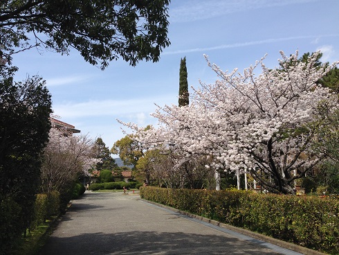 140331　大学 (4)