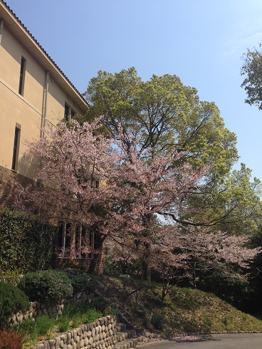 140407　大学 (2)