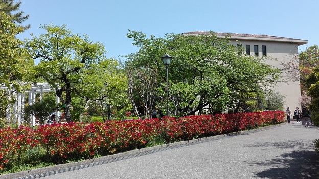 180420　大学・妹新参 (5)