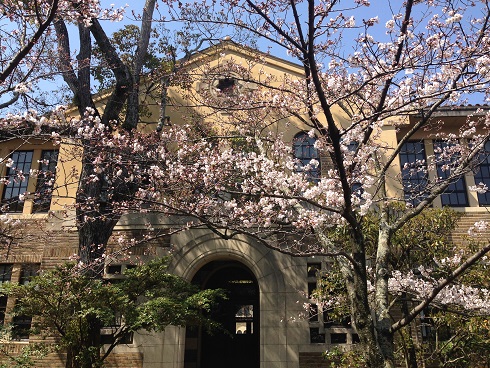 150330　大学の桜 (6)