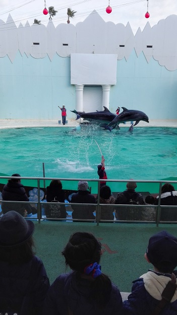 170105　神戸須磨水族館 (4)