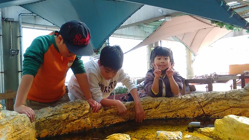 171230　須磨海浜水族園 (6)