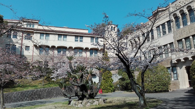 170404　大学桜 (1)