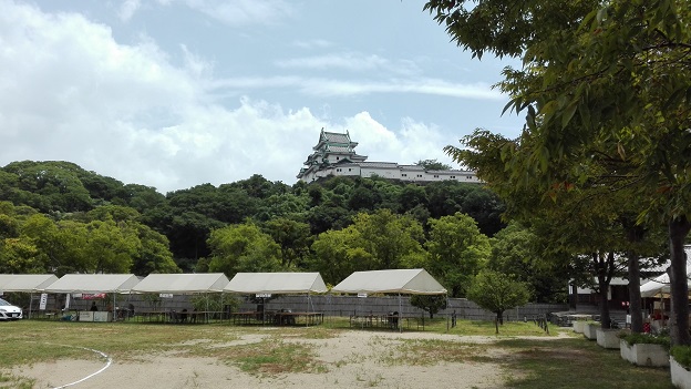 170805　和歌山と淀川花火 (3)