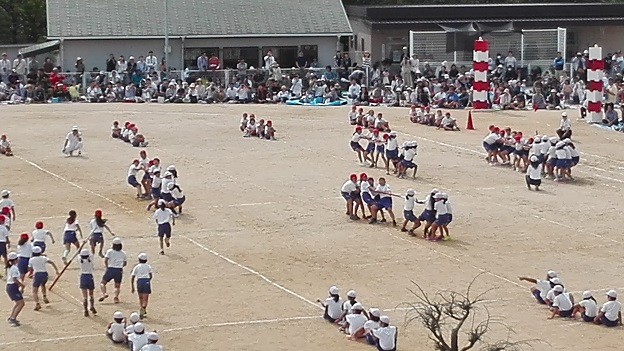 170930　兄新参運動会 (17)