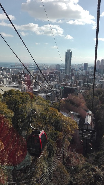 180102　布引ハーブ園 (14)