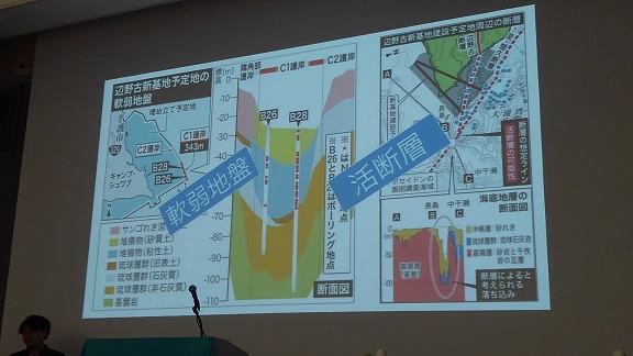 180707　岐阜・日本平和委員会全国大会 (17)