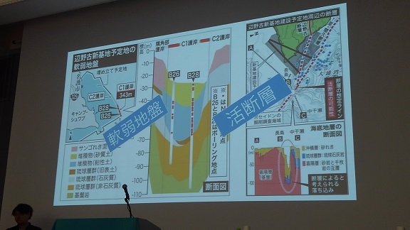 180707　岐阜・日本平和委員会全国大会 (17)