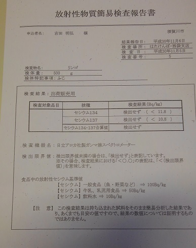 181210　りんご放射線分析 (2)