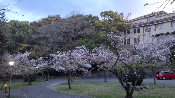 190412　学科写真・歓迎会 (8)