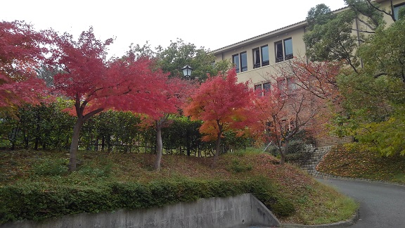 191128　妹新参・大学 (8)