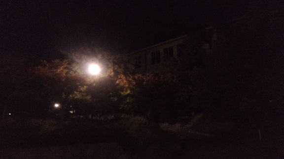 191104　大学託児所 (9)