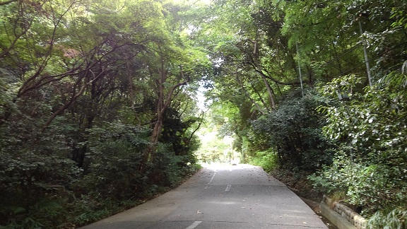200827　大学 (1)